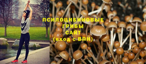 тгк Аркадак