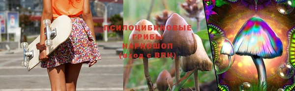 тгк Аркадак